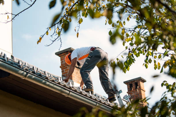 Best Rubber Roofing (EPDM, TPO)  in Carleton, MI