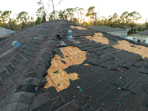 Best Sheet Metal Roofing  in Carleton, MI